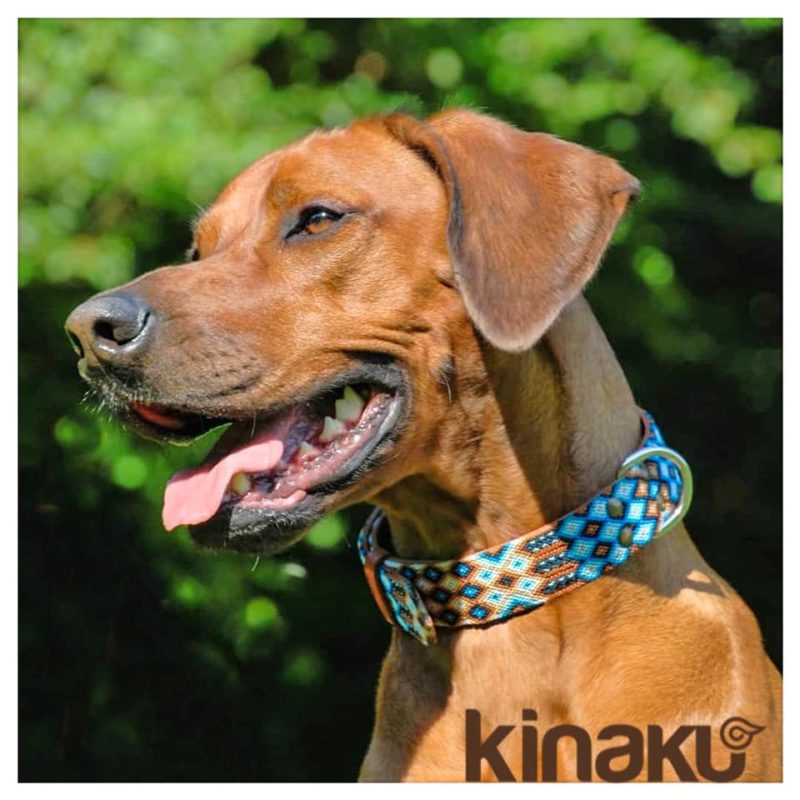 KINAKU - Hundehalsbänder aus Mexico - Nayarit – Bild 6